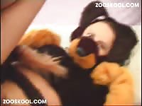 [ ZOOSKOOL - Beastiality Sex ] Stray X On Slave On Part Ii