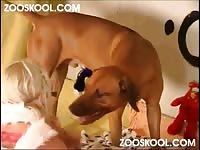 [ ZOOSKOOL - Zoo Xxx ] Summer A Bit Surreal