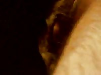 100 0280 gay zoo porn petlust gay zoo porn petlust2