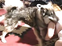 111 rusz [ Russian Beastiality Porn ] 2018 zoo sex from moscow