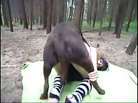 146 rusz [ Russian Beastiality Porn ] 2018 zoo sex from moscow