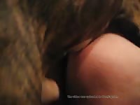 165 rusz [ Russian Beastiality Porn ] 2018 zoo sex from moscow