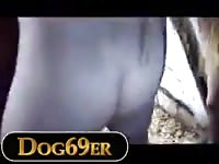 2 boys fuck mare
