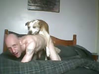 2 dogs 1 guy gaybeast com [ Zoophilia Woman ]