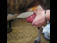 203 rusz [ Russian Beastiality Porn ] 2018 zoo sex from moscow