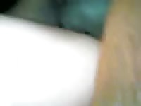 3 minute maregasm gaybeast com [ Girl Fucked by beast ]