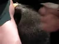 3 some gaybeast com [ lust Fucked by Animal ]