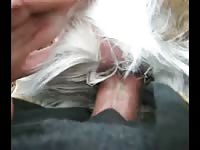 307 rusz [ Russian Beastiality Porn ] 2018 zoo sex from moscow