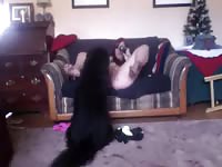316 rusz [ Russian Beastiality Porn ] 2018 zoo sex from moscow