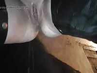 344 rusz [ Russian Beastiality Porn ] 2018 zoo sex from moscow