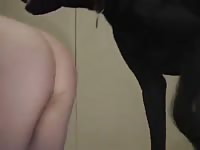 4764 gaybeast com [ Animal Girl ]