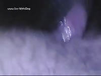 A clip from the underside lovethetie m6