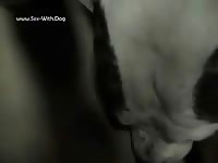 A dog tongue bath danno clip 2