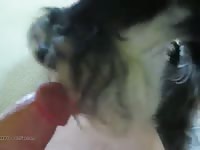 A good butt licking gaybeast com [ Animal Girls ]