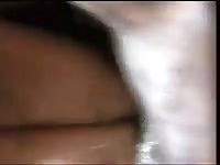 A good sex night with my mare gaybeast com [ Beastiality Sex Tube With Lust ]