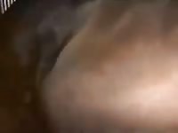 A nice horse cream pie gaybeast com [ Animal Girl ]