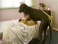 A slut for my dog