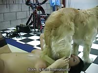 Adilia dogsex liveshow