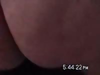Akita anal 2 gaybeast com [ Girl Fucked by Pet ]