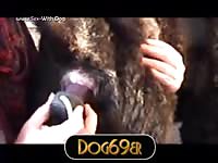 Akita takes a werewolf cock vid dog69er akita akitatakesthewerewolf
