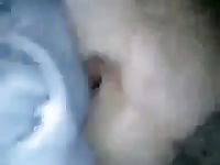 Aliviando as tensoes gaybeast com [ Girls Fucked by beast ]