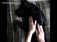Aluzky gives bellyrub 1 aluzky home made videos dog lover german shepherd