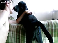 Aluzky giving rimjob 2 hd aluzky home made videos dog lover german shepherd