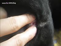 Aluzky llab fingerjob 2 aluzky home made videos dog lover german shepherd