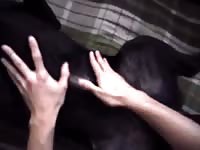 Aluzky petting his boyfriend and cumming for him gaybeast com [ Animal Porn Video With Lust ]