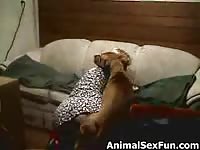 Homemade dogsex movie 23 clip 1