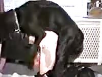 American girls fuck dog