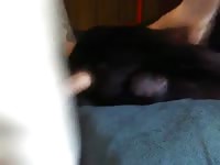 Anal 7 gaybeast com [ Animal Woman ]