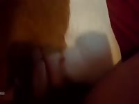 Anal 8 gaybeast com [ Beastiality Porn With Lust ]