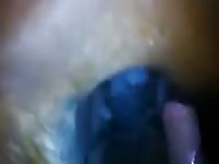 Anal and creampie gaybeast com [ Zoophilia Girl ]