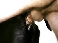 Anal dog 5 gaybeast com [ Woman Fucked by beast ]