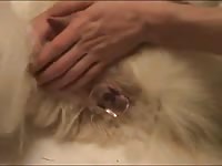 Anal toying gaybeast com [ Zoophilia Sex Video With Bitch ]