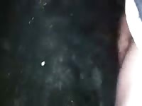Anal with a horse 1 gaybeast com [ Beastiality Girl ]
