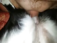 And another filling gaybeast com [ Girls Fucked by Pet ]
