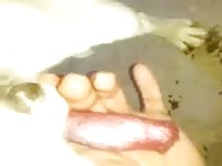 Angelak9lady handjob 04 02 2014 beastforum