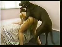 Animal passion 90
