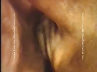 Animal sex female dog man fucks great dane