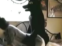 Anubis yiffing ahote wolf gaybeast com [ Zoophilia Sex Tube With Woman ]