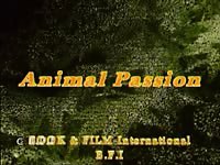 Apdv182 big black dog pleasure