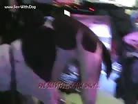 Area male mutt 3 vids w screens admtalon adm mutt1 meet