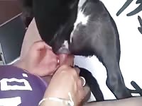 Asian guys gaybeast com [ Woman Fucked by beast ]