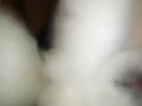 Attempted mounting gaybeast com [ Girl Fucked by beast ]