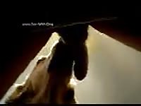 Awesome lick job dirteater96 sl381306