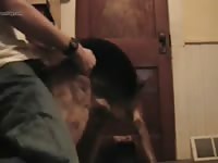 Azga gaybeast com [ Girls Fucked by Pet ]