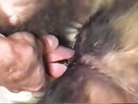 Bad girl 1 gaybeast com [ Zoophilia Sex With Lust ]