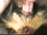 Badgirl03 gaybeast com [ Beastiality Porn Movie With Woman ]